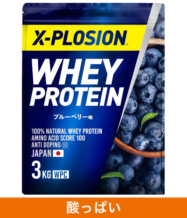 エクスプロージョン　プロテイン　ブルーベリー